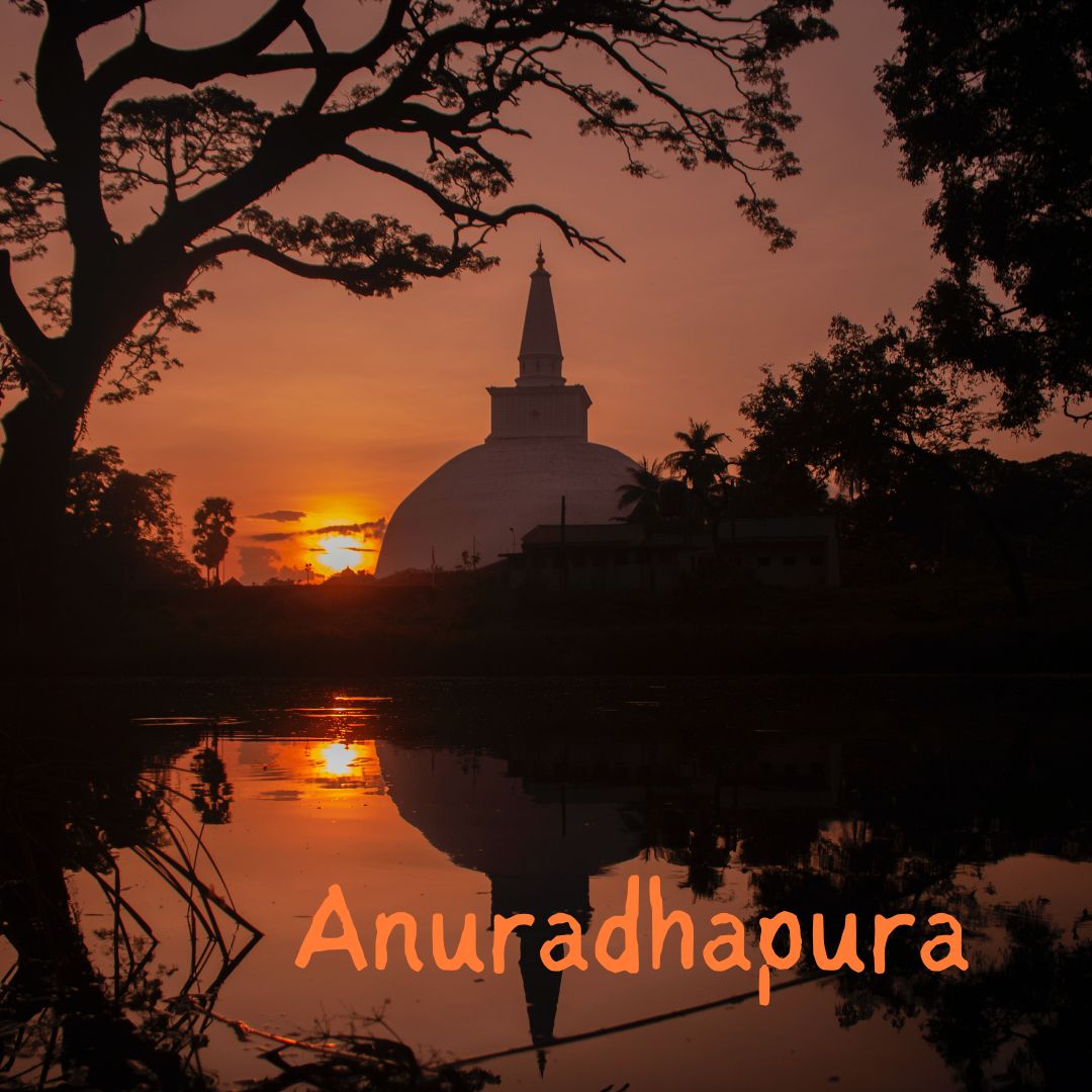 #Anuradhapura:
This ancient city is famous for its well-preserved ruins, including the majestic Sri Maha Bodhi Tree 
#AnuradhapuraHeritage #AnuradhapuraArchaeology #AncientCapital #BuddhistPilgrimage #StupasAndPagodas #BodhiTree #IsurumuniyaTemple
#SriLanka #y2ztravel