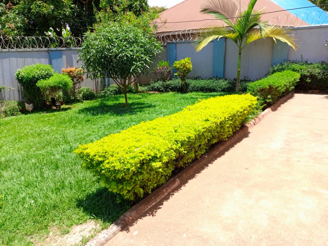 shukranproperty's tweet photo. House is available for sale located at Janyi, Bwebajja on Entebbe road it has got #4bedrooms dinning, sitting room kitchen seated on #20decimals private mile land title on the table FIXED price is #240m
๐ค Call 0706592177 https://t.co/KHoxEAF2vu