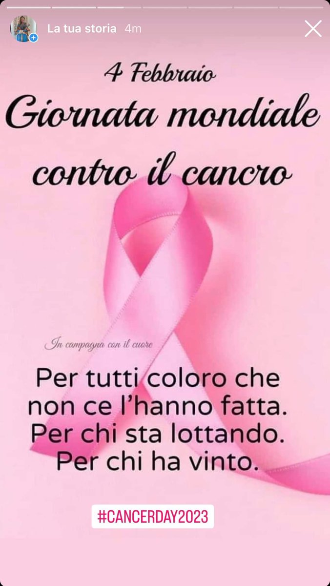 Morena Rigamonti (@morenarigamonti) on Twitter photo 