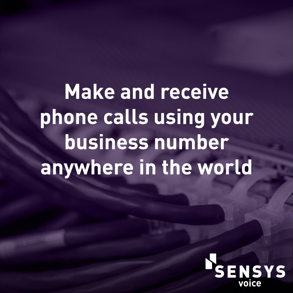 sensys_tech's tweet photo. SenSys Voice &amp; Broadband - we've taken the most important features of voice and broadband and wrapped them up in a package for your business!
Learn more here #SenSysVoice #voip #businessphone #performance
https://t.co/lCI03qEOox https://t.co/YOeplqNwyr