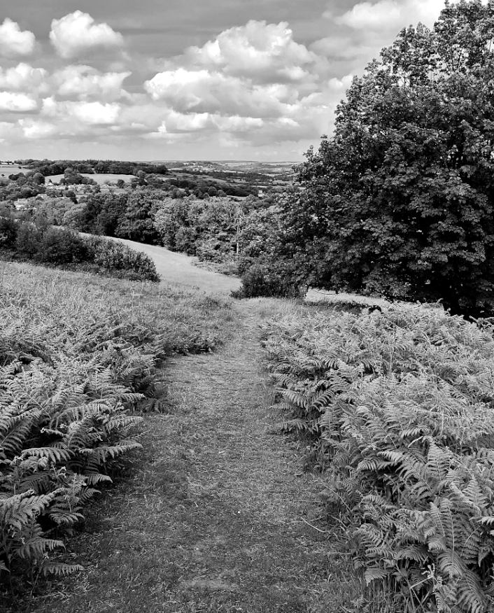 HooklandGuide's tweet photo. For all across the hollow hills of England there are said to be networks of half-hidden tracks known as Faery paths. They resist maps and can only ever be stumbled upon. If followed, they provide access to a sneaky England of impossible shortcuts, routes to enfolding otherworlds. https://t.co/FEuDWf0qo6