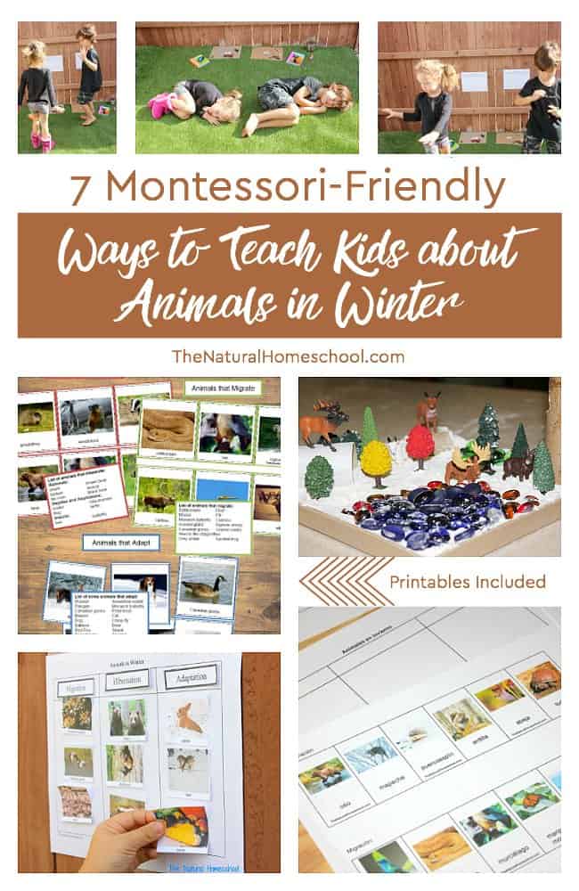 Montessori-Friendly Ways to Teach Kids about Animals in Winter ~ Printables Included
thenaturalhomeschool.com/easy-ways-to-t…