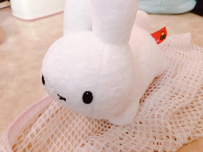 うさぎさん汚れてたのでけばだちがうまれたて感を増幅 