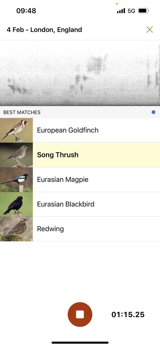 Felt a bit bleak when got stuck in the mud on Walthamstow Wetlands this morning but I listened to the birds, used the Merlin app and … WOW. Glasses steamed up so didn’t spot the Cetti’s warbler or the wren, but hey. This is all in the same hedgerow.