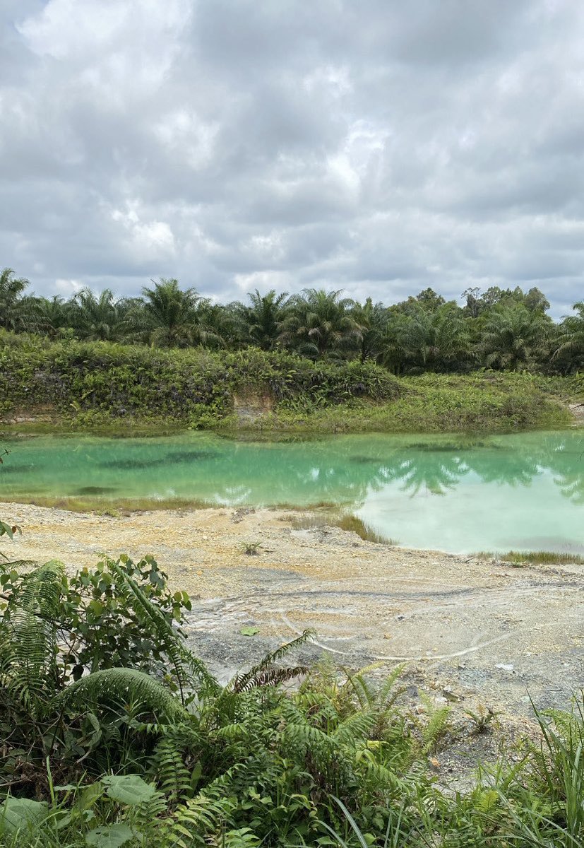 drivetrough's tweet photo. another Borneo trip https://t.co/XNpRTwhR8M