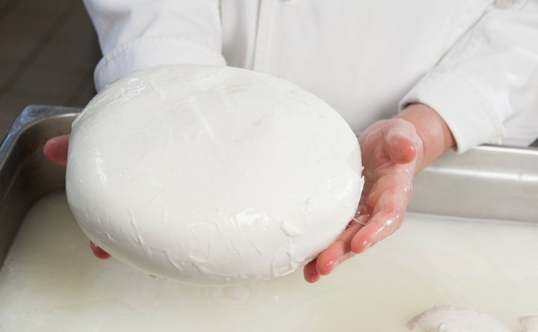 Che bontà
#mozzarelladibufalacampanadop
<a href="/mozzarella_dop/">Mozzarella di Bufala Campana DOP</a>