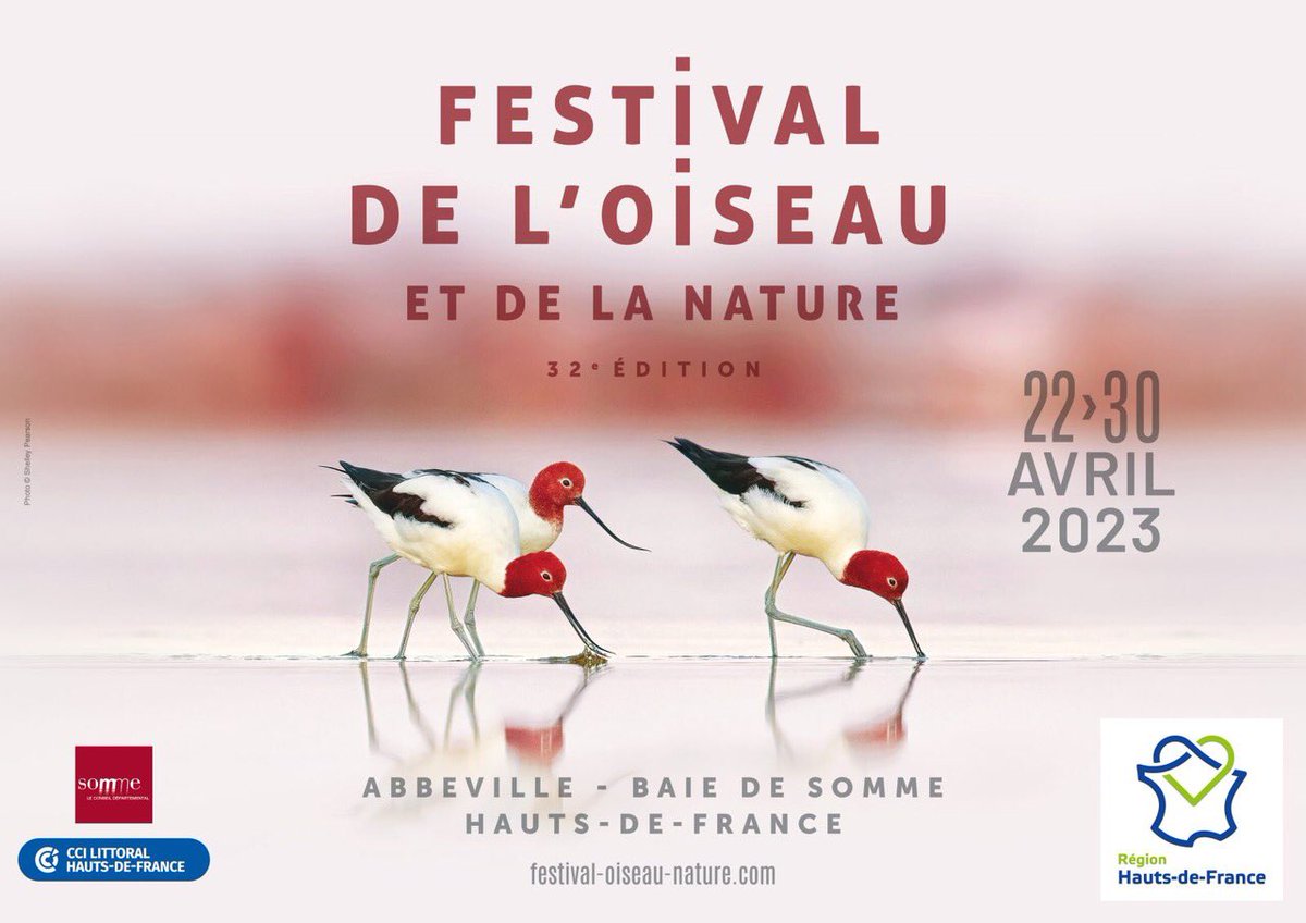 Rdv le samedi 22/04 pour le concert inaugural du @FestivalOiseau 
Au programme #liszt #ravel #schubert #tchaikovsky 
#piano #recital #ClassicalMusic #hautsdefrance