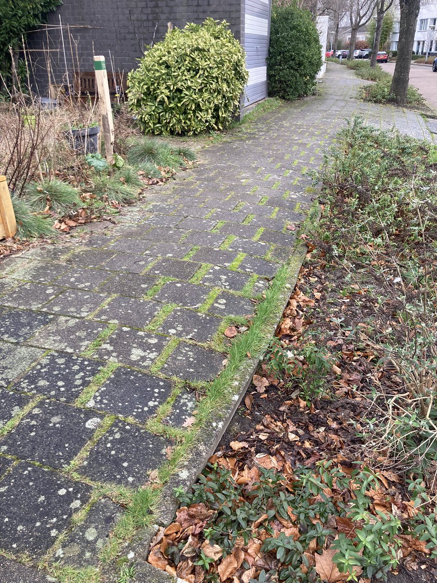 Mark Koelman tweet media