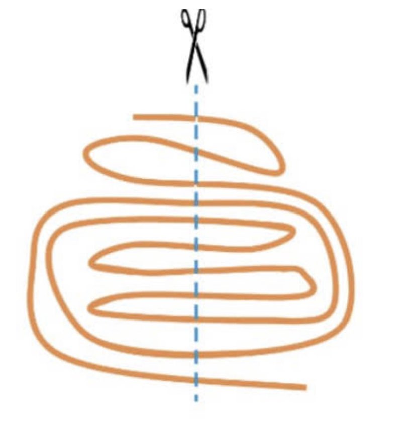 How many pieces of rope do you get after you cut from the dotted lines?