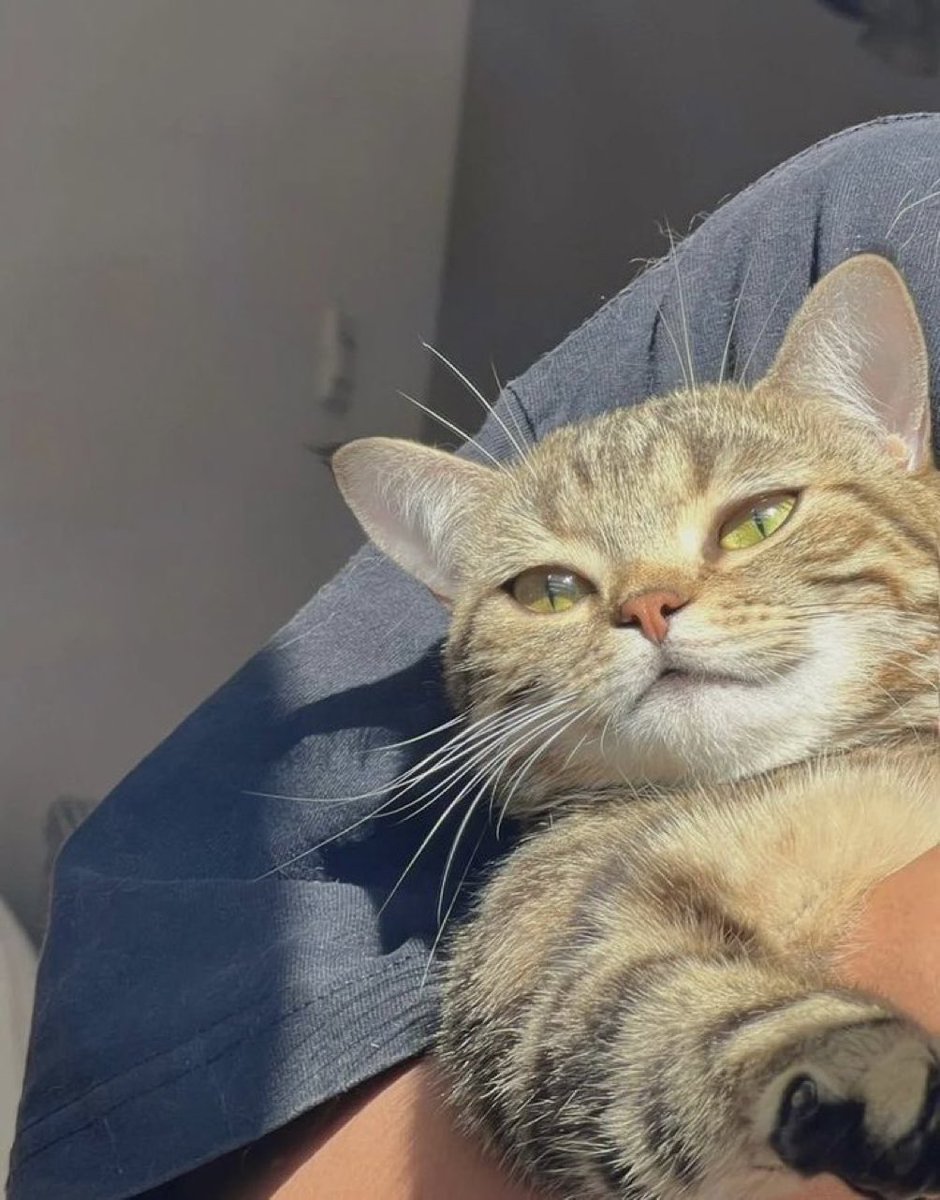 เป็นน้องเฟรมก็ลำบาก เอะอะโดนพ่อจ๋าอุ้ม เอะอะโดนพี่นิกซ์หยุมพุง แส้วมั๊ก