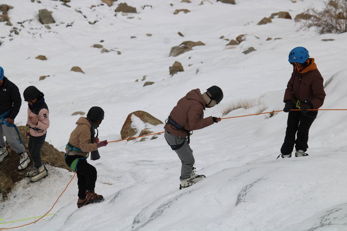 Save Changthang Official tweet media