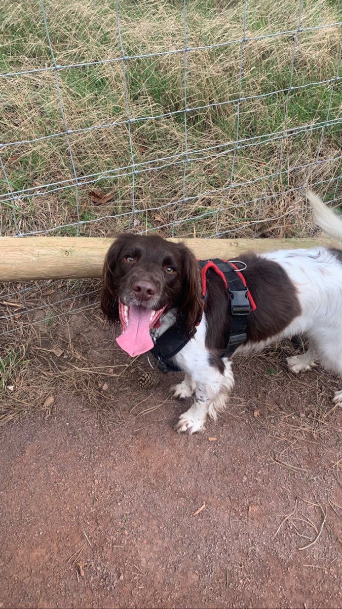 Leanne Hughes (she/her) tweet media