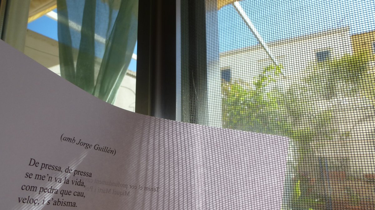 MjEscriva's tweet image. Llegesc uns versos inèdits de #MarcGranell i són tan estremiment i tan veritat com la llum que entra del pati aquest matí, fins al meu escriptori.

#privilegis #poesiaiveritat #patidhivern #febrer