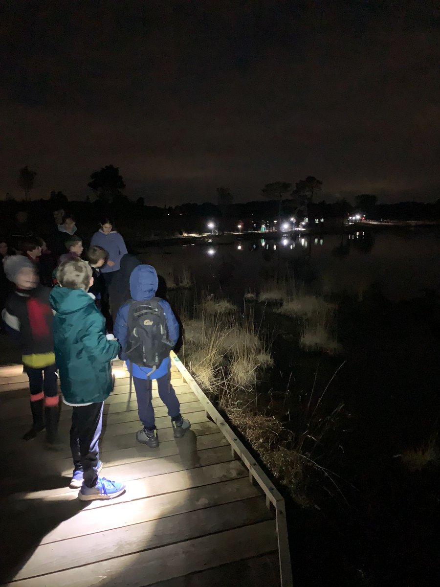 Godalming Scouts tweet media