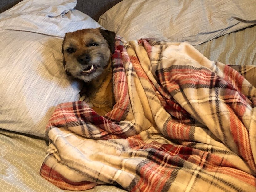 Ian Black tweet media