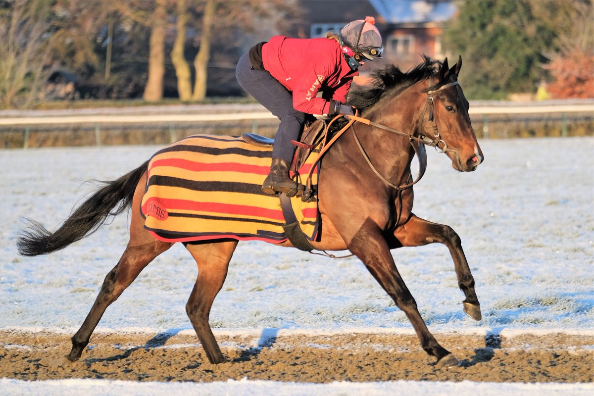 SimcockRacing's tweet photo. HARRY BROWN ⭐️WINS⭐️ (3yo g Harry Angel IRE - Sarshampla IRE) the 6f Handicap @LingfieldPark under @Hayleyturner123 for SHEIKH JUMA DALMOOK AL MAKTOUM & @SimcockRacing #AlBasti #AlBastiEquiworldDubai https://t.co/TW8H0WCWx4
