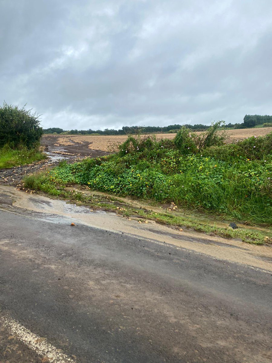NickParrish6's tweet photo. Just back from NZ - The torrential rain in Pukekohe did a lot of damage to the windrowed onion crop! Not good for the growers. https://t.co/sh3G6xcLUZ