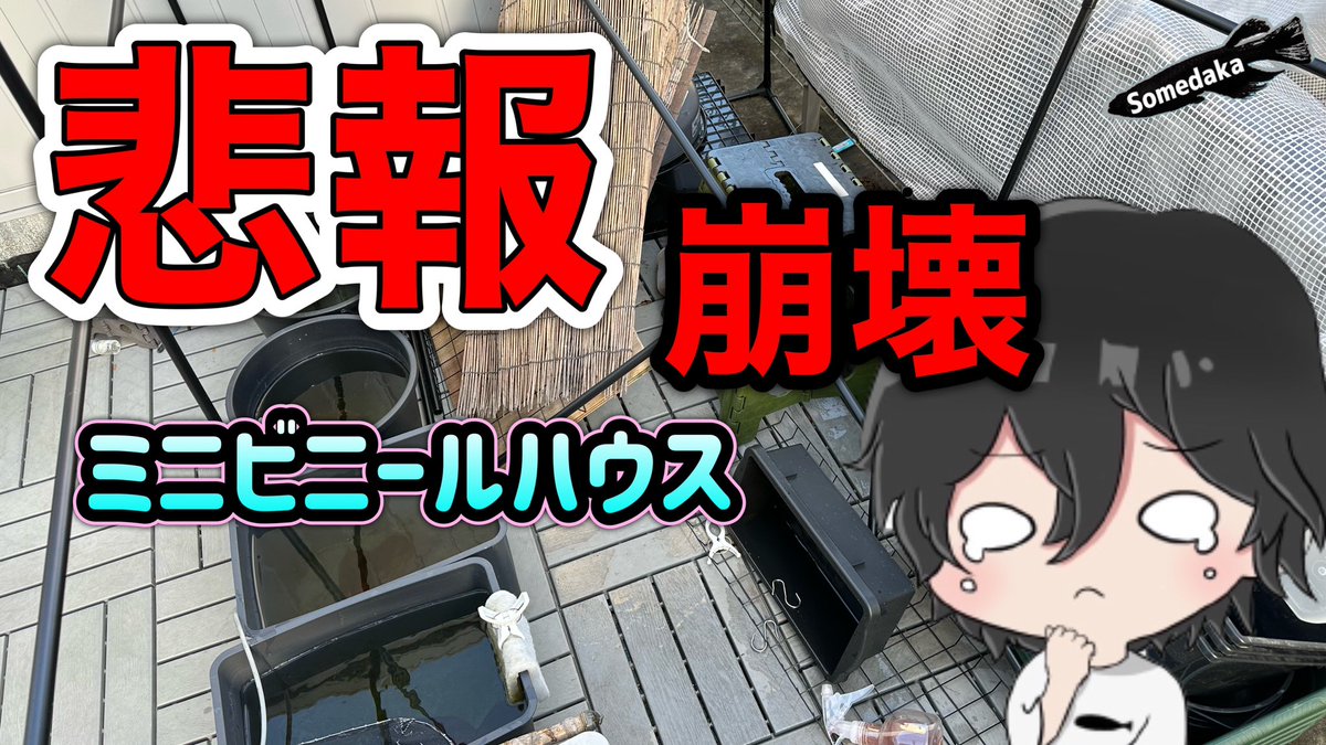 久々の更新🙇🏼‍♂️
復活っとおもったら😇オワタ…

youtu.be/RMZESIh5PIY