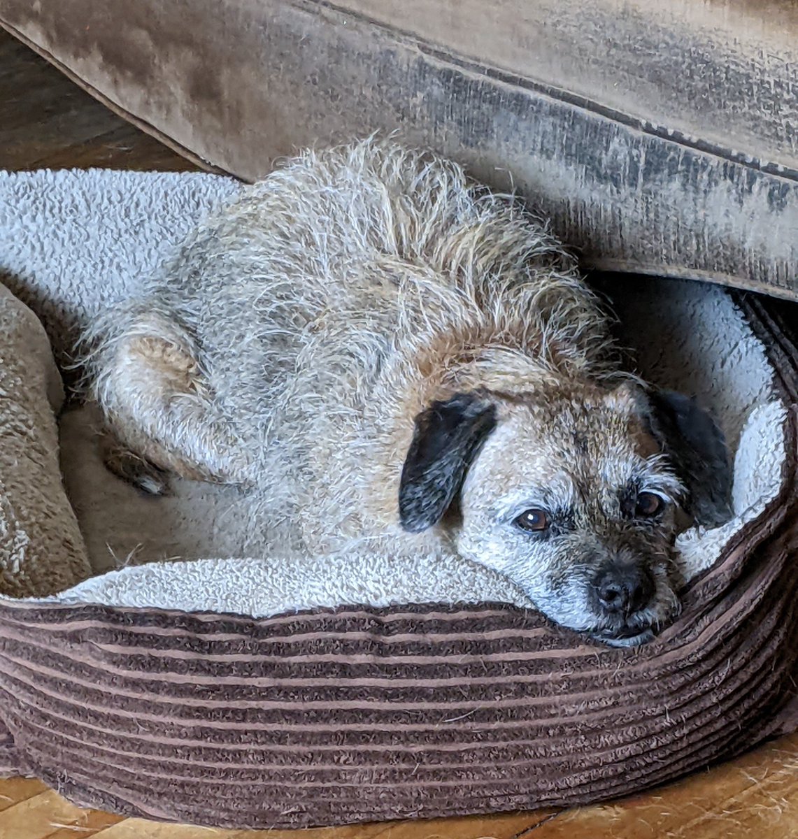 Single Minded tweet media