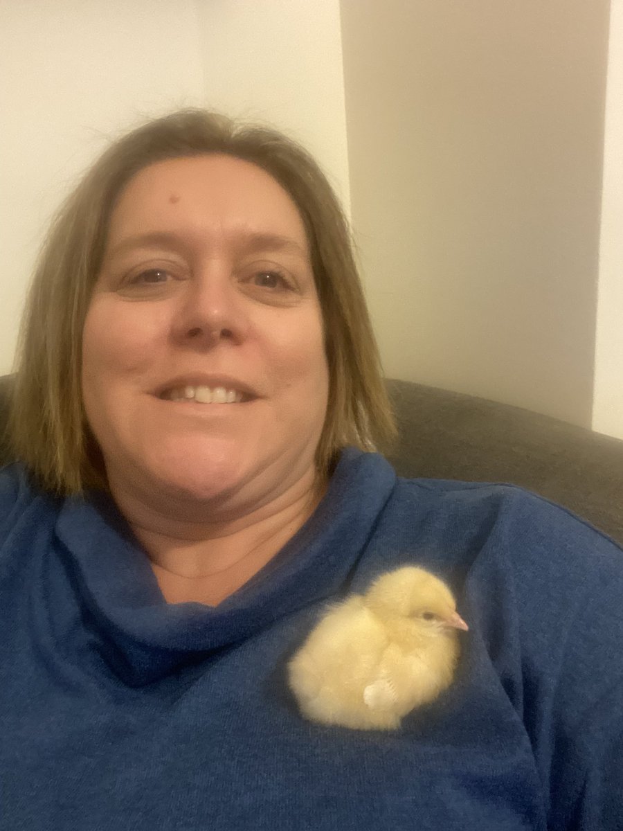 Love that I got to bring the chicks home for the weekend!