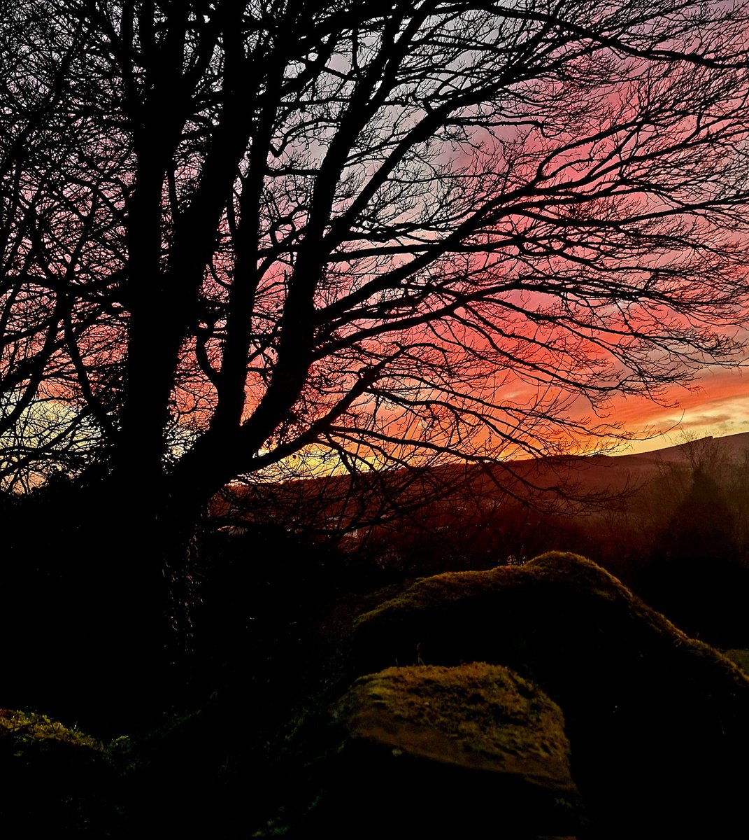 Backgarden timeline cleanser.
Pink skies over Clare. 
#loughderg