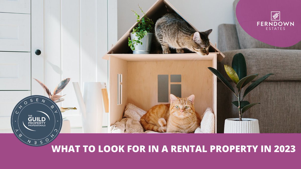 What to Look for in a Rental Property in 2023 > bit.ly/3Ykwqqq
#ferndownestates #proudguildmember #rentalproperty #rentaltips