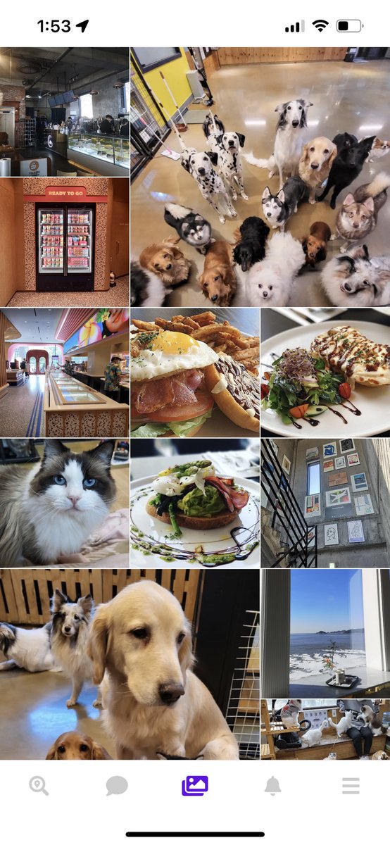 oppa_yes's tweet image. This is our 3rd tab frature, shows all location pictures near by me!

When u travel seoul, u can find spot local written soecial price easily and fast!!

Look foward to meet our travelers soon 😍

#yesoppa #bytrsmix #tilewidget #oppaguide #yesguide #seoultravel #TravelKorea