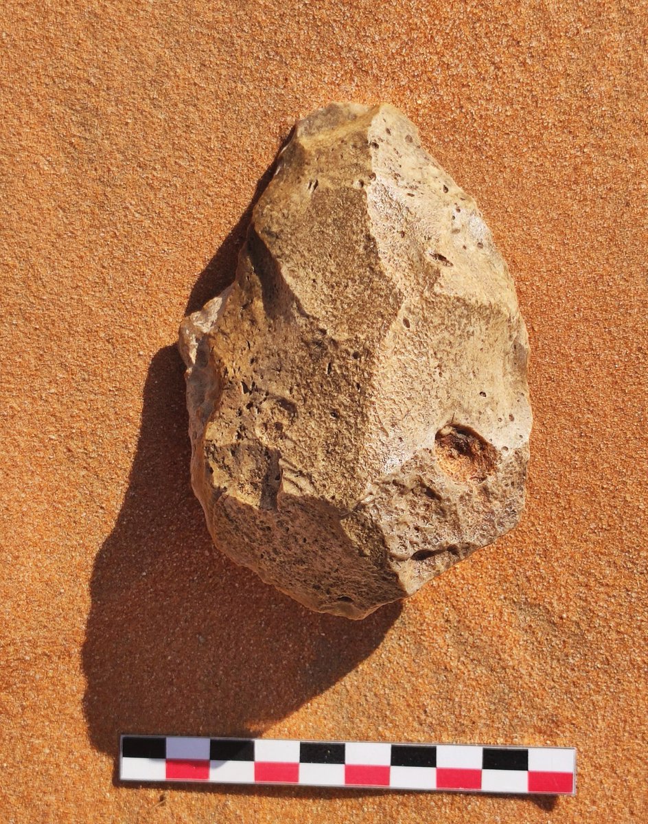 After venturing into the dunes we returned to edge of Rub' al Khali to study Ramlat Fasad basin rich in Palaeolithic assemblage, especially handaxes, bifaces, choppers and pick axes. Field director Jeff Rose <a href="/RoninInstitute/">Ronin Institute</a>, <a href="/GoldenHighlands/">Golden Highlands</a>, <a href="/aru_praha/">Archeologický ústav</a> <a href="/ARUBrno/">Archeologický ústav AV ČR, Brno, v. v. i.</a> <a href="/OmanPaleolithic/">Paleo-Hajar Project</a>