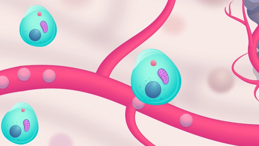 inspirna's tweet photo. On #WorldCancerDay, we stand in support of everyone dedicated to helping patients in need. At Inspirna, we’re developing a drug candidate called ompenaclid to treat #colorectalcancer. Watch our educational video here to learn more about how it works: https://t.co/reN1Ek4e9j https://t.co/hAdtsfDGJT