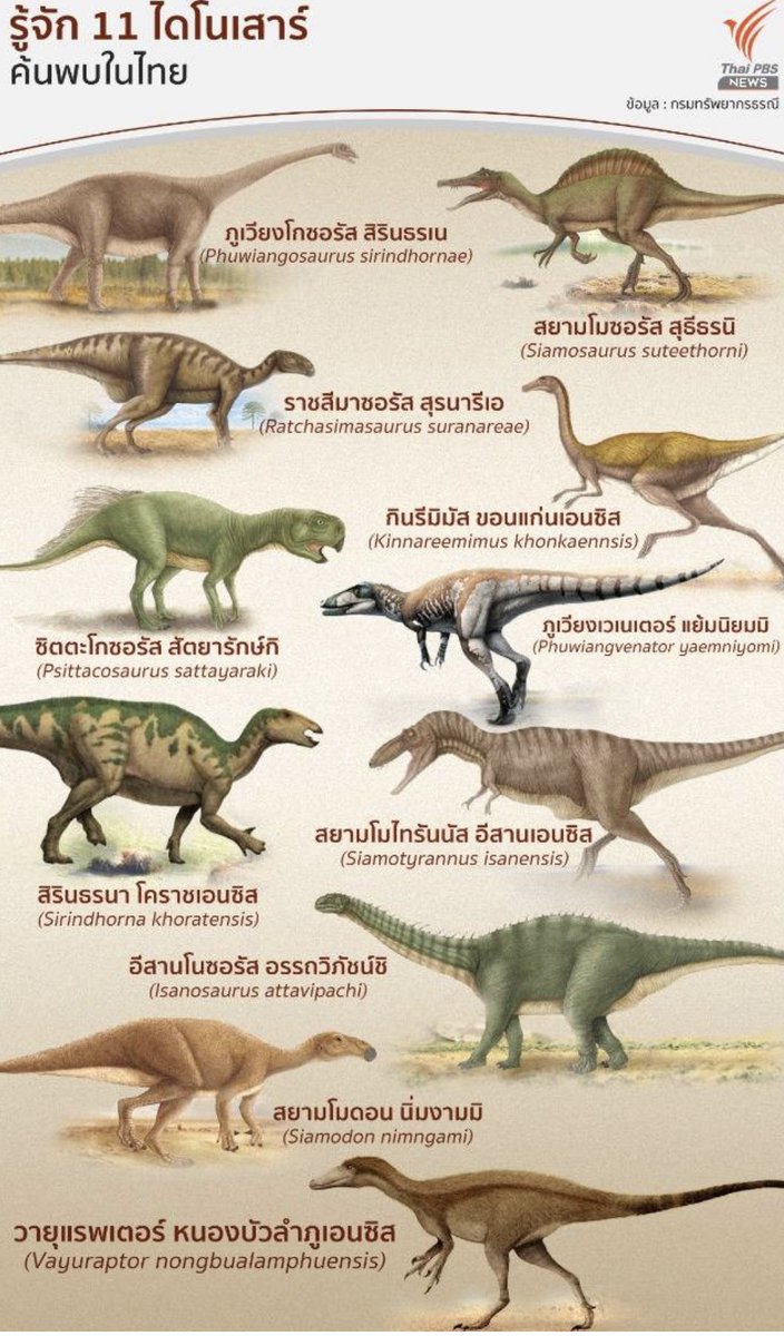 ไดโนเสาร์ไทยแม่ง ชื่ออย่างเท่
