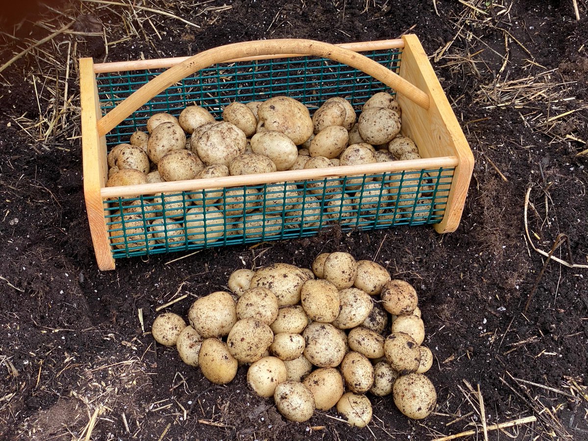 Savvy Gardening on Twitter "RT NikiJabbour Did you know you can
