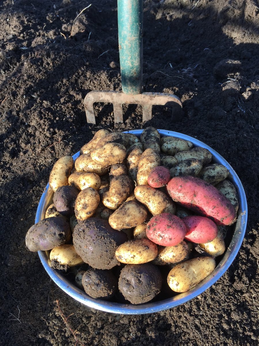 Savvy Gardening on Twitter "RT NikiJabbour Did you know you can