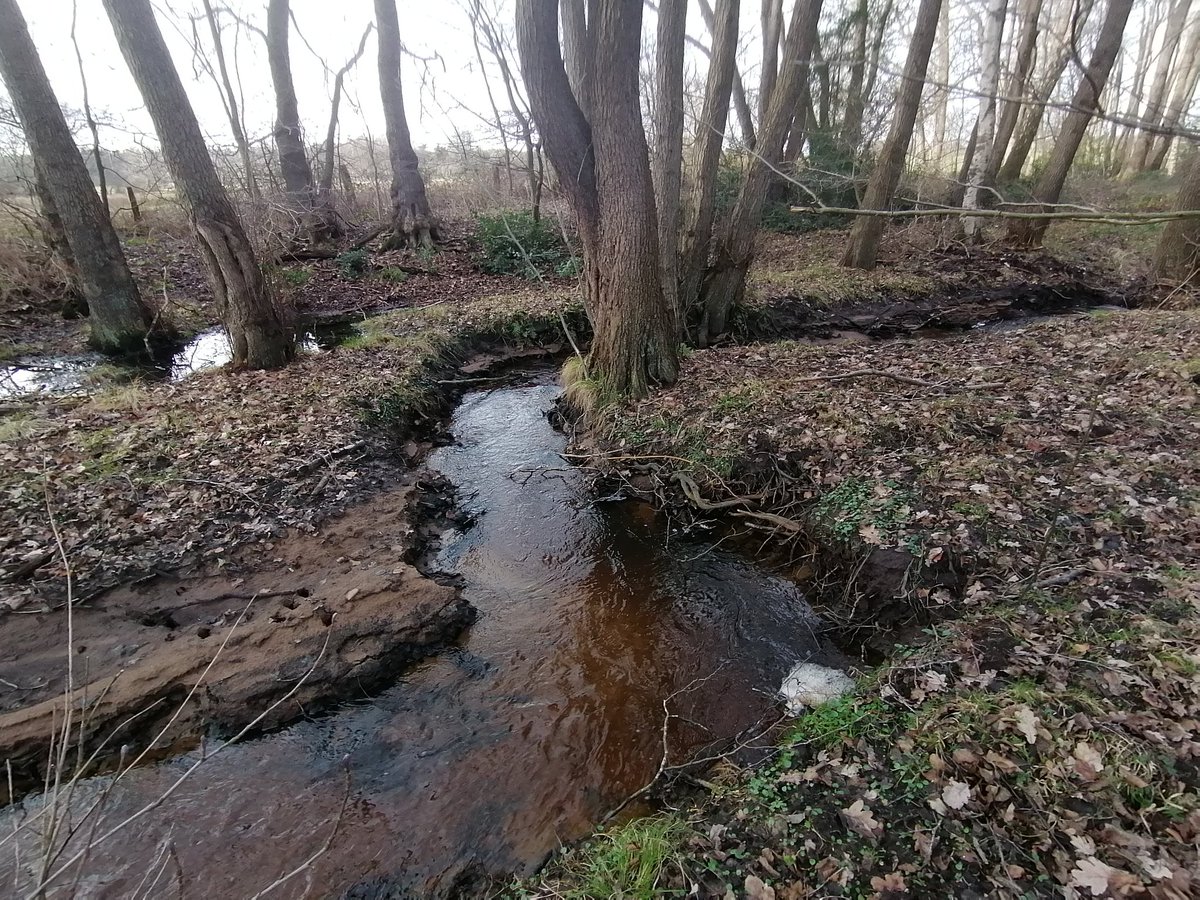 magicderek's tweet image. Today's walk part 2