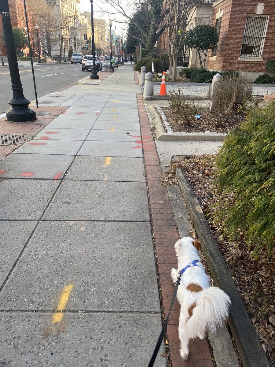 Yvanna D. Cancela tweet media