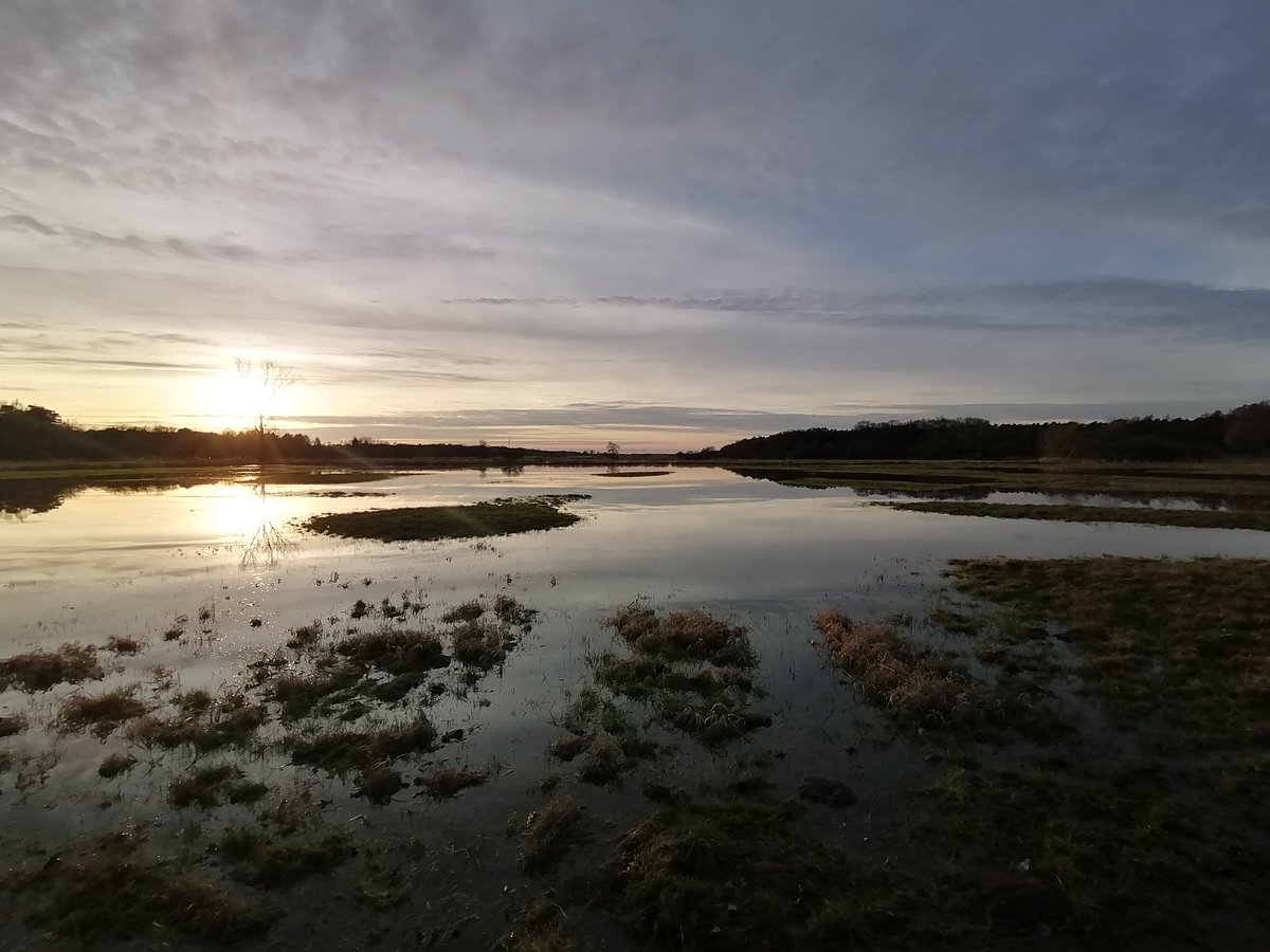 magicderek's tweet image. Today's walk part 1