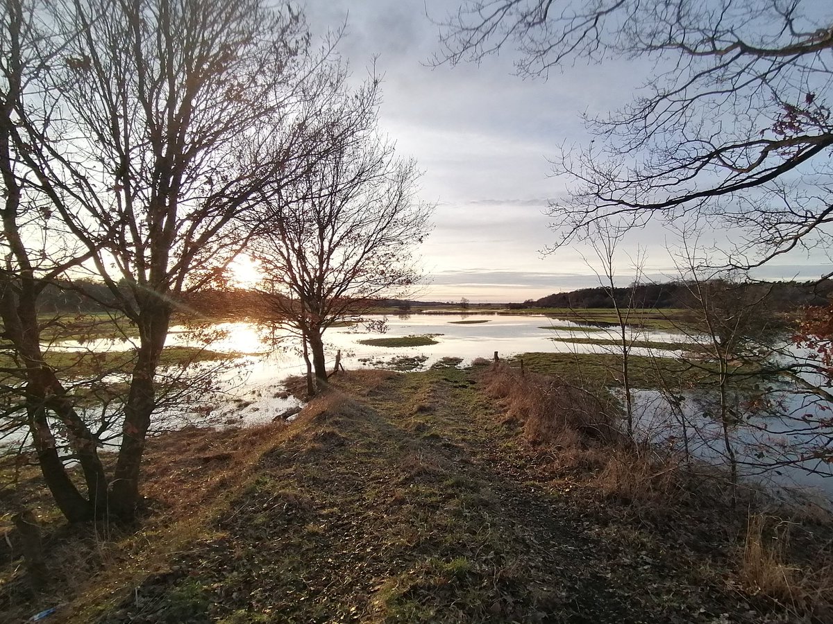 magicderek's tweet image. Today's walk part 1