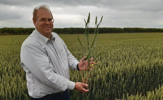 2 world records broken, 17.96t/ha winter wheat crop &amp; 16.21t/ha winter barley.  Lincolnshire grower Tim Lamyman record at harvest 2022 came when UK wheat yields rose sharply despite a record heatwave and a prolonged drought! fwi.co.uk/arable/harvest… graincentral.com/news/uk-farmer…