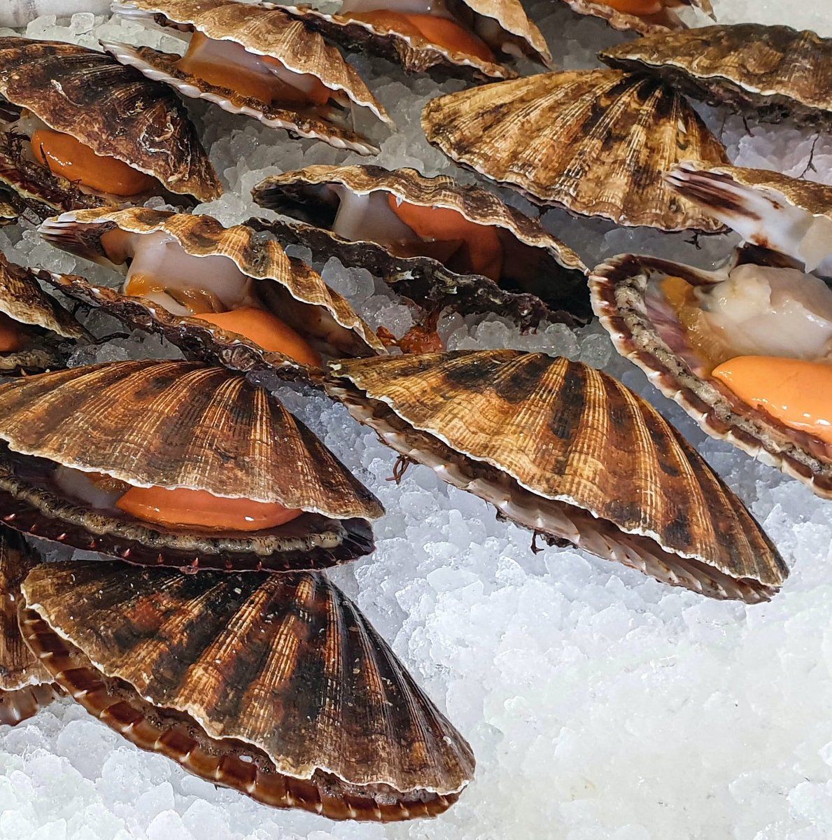 Source Food Bristol tweet media