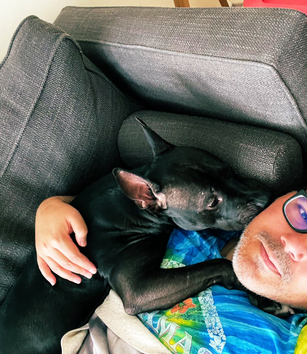 saenzr03's tweet image. 17° cuddles with Shadow Baby. #freezing #ColdAF #NYC