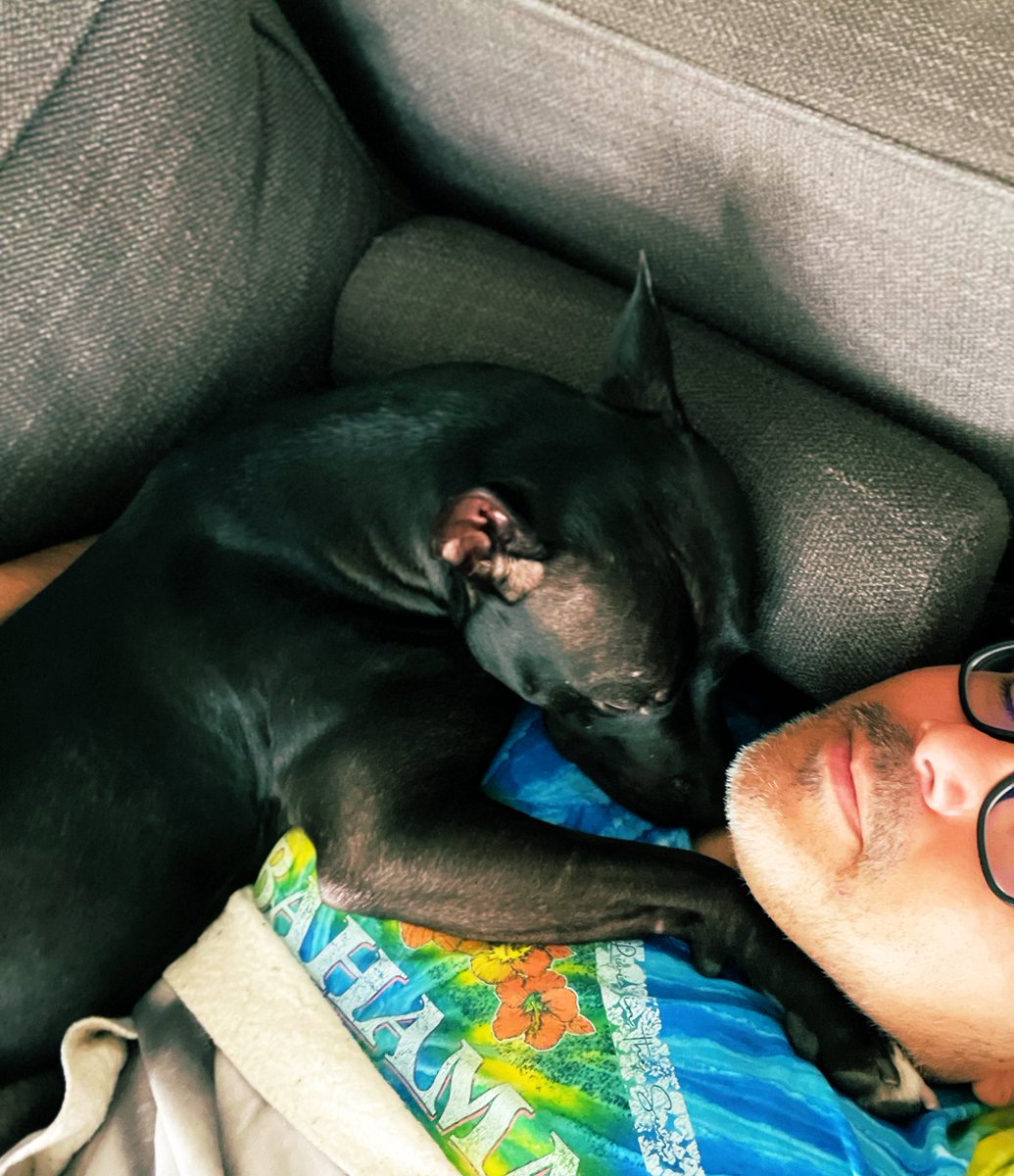 saenzr03's tweet image. 17° cuddles with Shadow Baby. #freezing #ColdAF #NYC