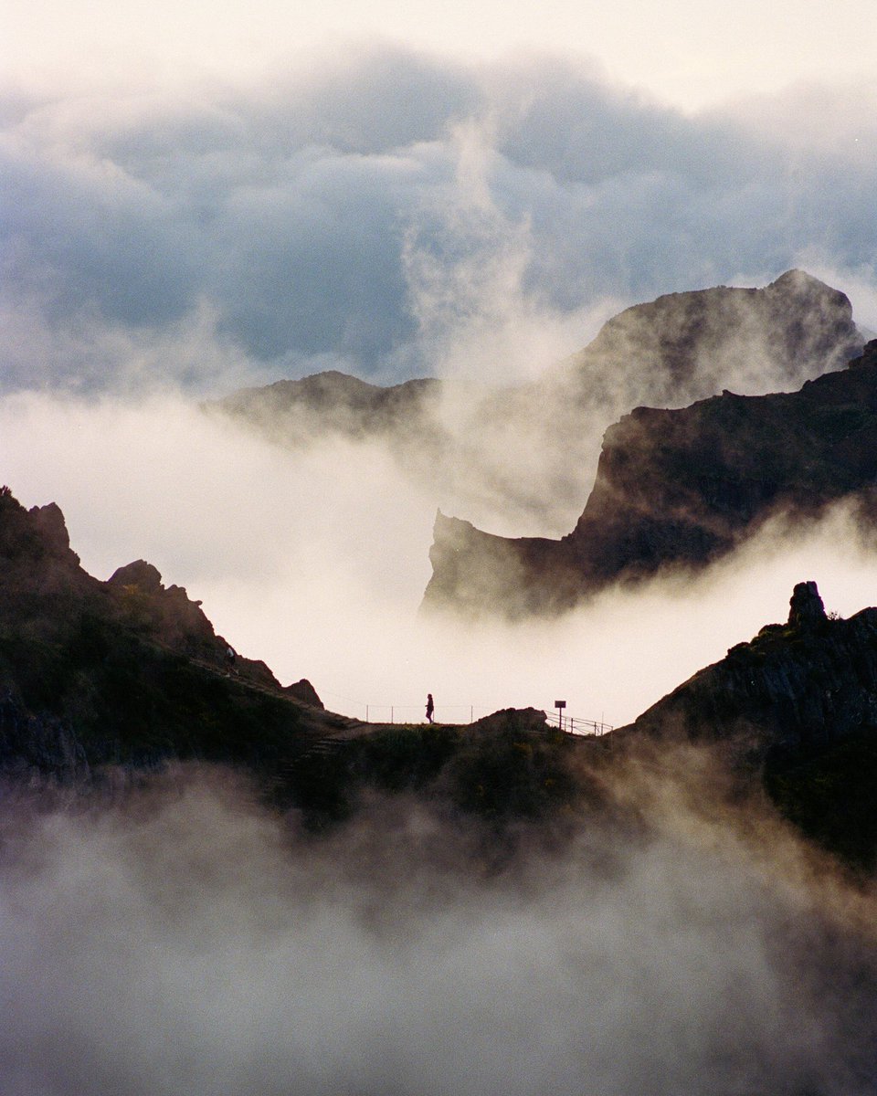 Portra Papi tweet media