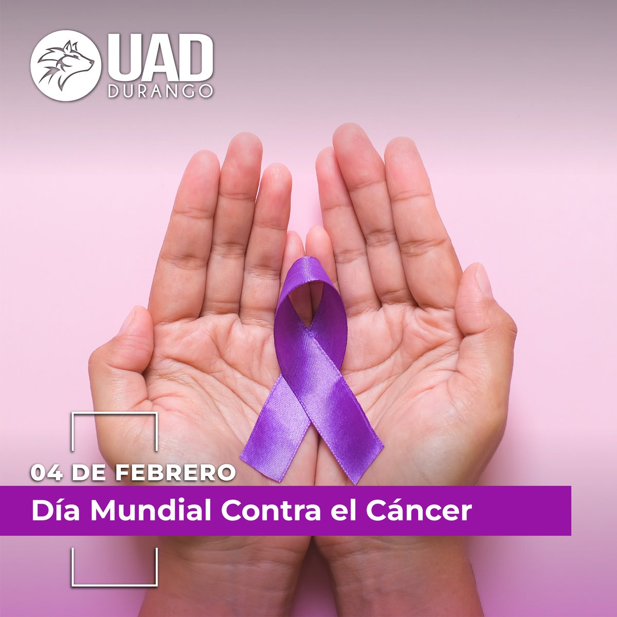 UDS_Hermosillo's tweet photo. Cada 4 de febrero conmemoramos el Día Mundial contra el Cáncer con el objetivo de concientizar a la población sobre la prevención, diagnostico y tratamiento del mismo, para evitar millones de muertes al año 💜

#SiempreGrandes #SiempreLobos #DiaMundialContraElCancer https://t.co/i5fE93Sk08