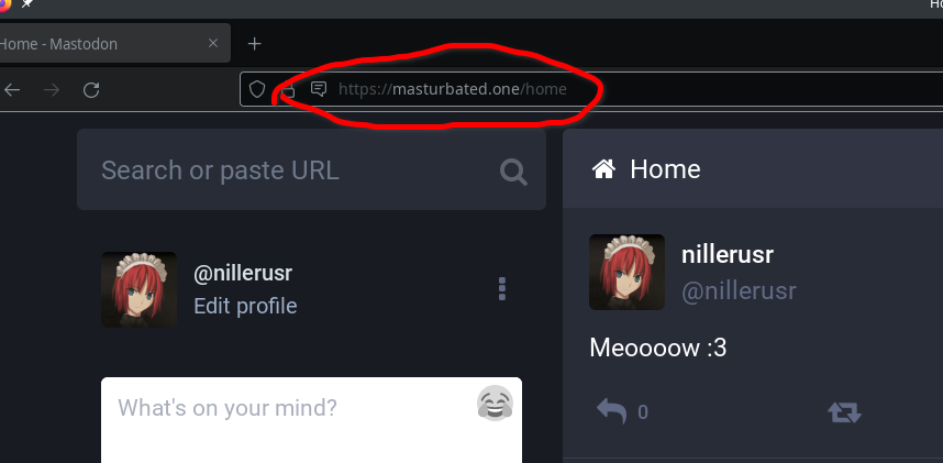 nillerusr's tweet photo. I was inspired by @elonmusk  post about mastodon and...
I bought https://t.co/LuI2yJi38U domain and setup mastodon server with that domain name. https://t.co/cwew27nkUW