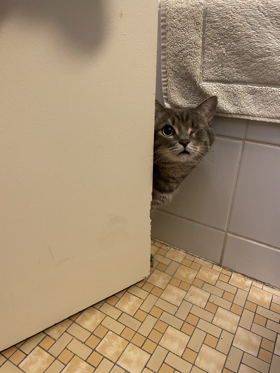 Humility - Pierre tweet media