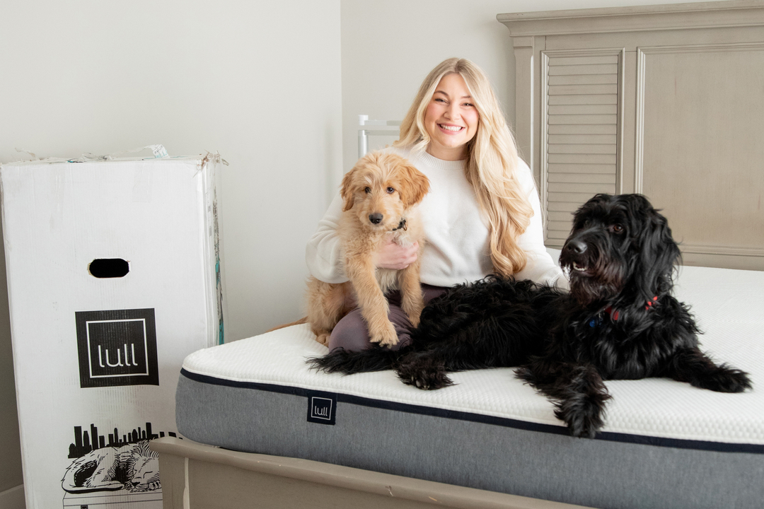 The mattress you (& your pets) will love! Shop the 🔗 in our bio!
.
.
.
.
.
#lullmattress #getyourlullon #petsbringustogether #petsrule #petsuniversal #petsofinstgram #petsphotography #petstagrams #petsinstagram #petsfriendly #petsathome #petslove #animalfanatics #animalinstagr