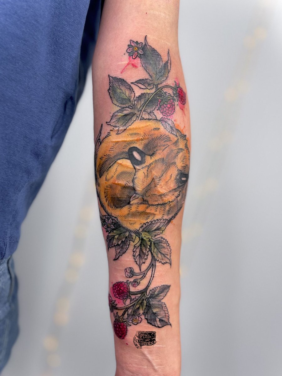 𝕽𝖚𝖇𝖎𝖘 𝕱𝖎𝖗𝖊𝖓𝖔𝖘 Illustrations&Tattoos🩸 tweet media