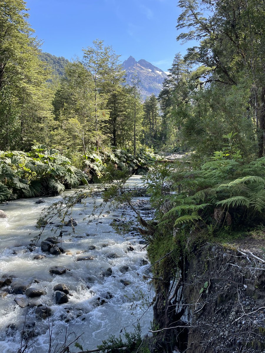 Been without a signal or Wifi in the depth of Parque Pumalin and the edge of Parque Corcavado the last few days. Amazing scenery and hiking. We’ve been extremely fortunate to have great weather. Here trail to ventisquero Yelcho into P. Corcavado. FANTASTIC