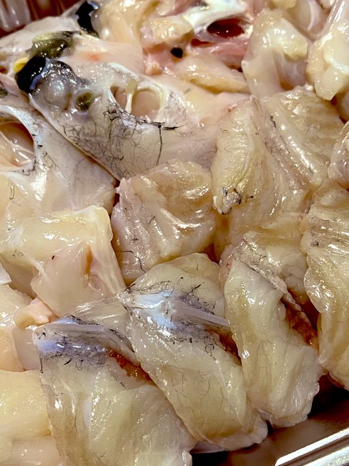 最強の誕プレ!?
トラフグの地理セットが届きました!٩(๑′∀ ‵๑)۶•*¨*•.¸¸♪
フルグラさんありがとうございます!!!!
うひょー!
酒が進むぅぅぅぅ 