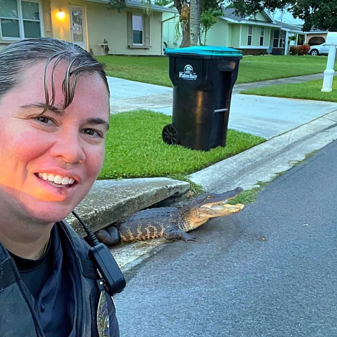 Bornakang's tweet photo. Only in Florida https://t.co/d6DV2rsAZX