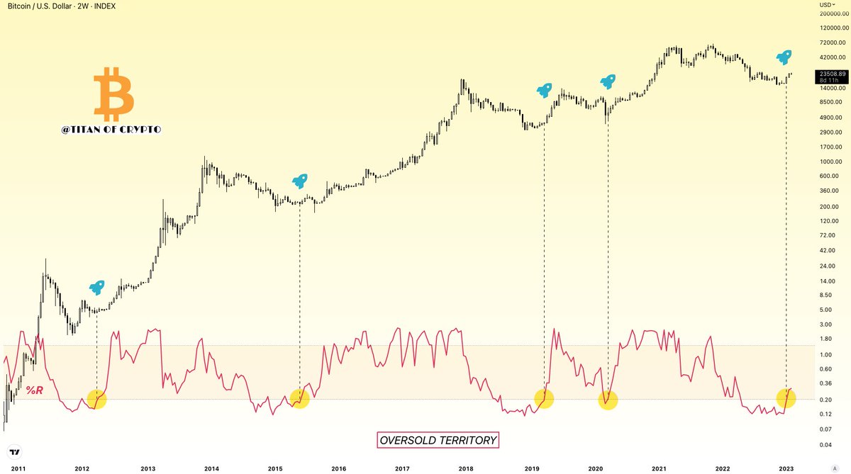 Washigorira's tweet photo. #Bitcoin U-turn ⤴️💥

In the past when Williams %R left the oversold territory on the 2W TF, #BTC reversal started. https://t.co/Yqt6gyMBz5